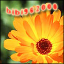 bibi962000